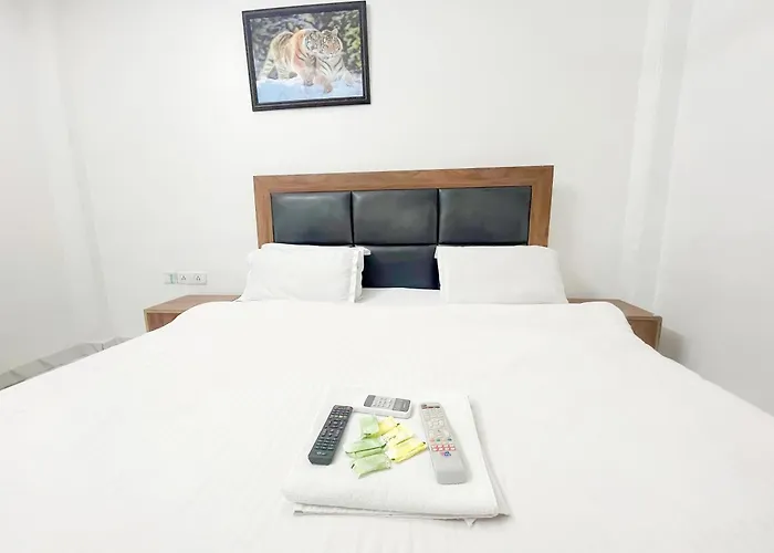 Hotel In South Delhi Near Sarai Kale Khan